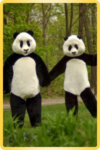 Mascot Panda family