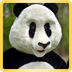 Mascot Panda family